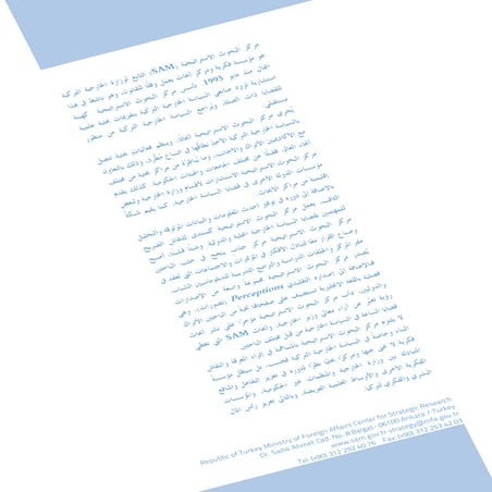 Vision paper arapca_03-nihai