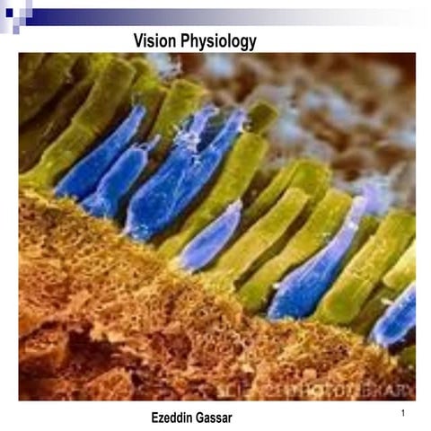 Entoptic phenomena | PDF