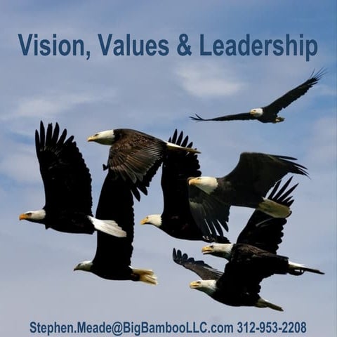 Vision values and leadership  la 04-02-2012