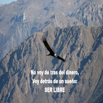 Propuesta comercial | PDF