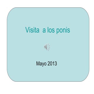 Visita  a los ponis