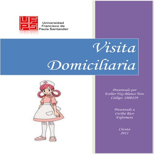 Visita domiciliaria de enfermería en postparto