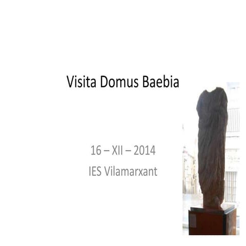 Visita Domus Baebia