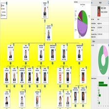 OrgPublisher HOLL Consulting-double report-dotted line-indirect report ...