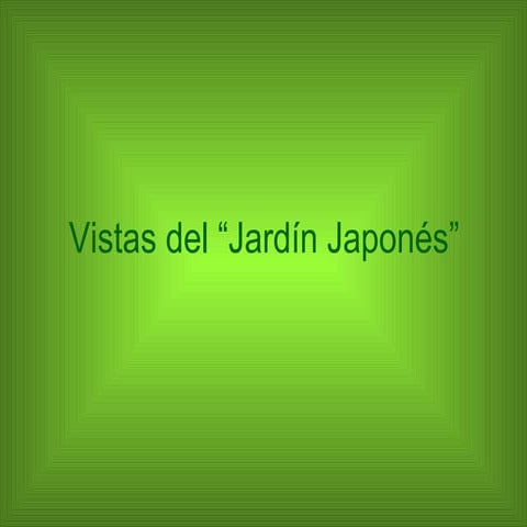 Vistas Del JardíN JaponéS