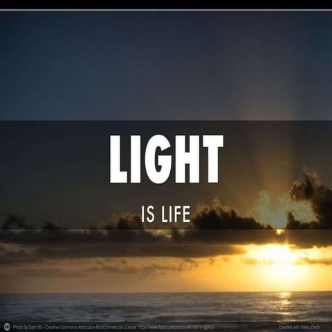 Visual perception- perceptional problems and learning disability