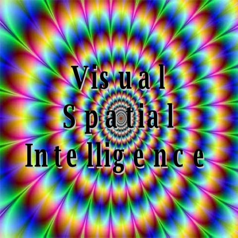 visual intelligence