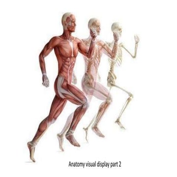 neural mobilization | PPTX