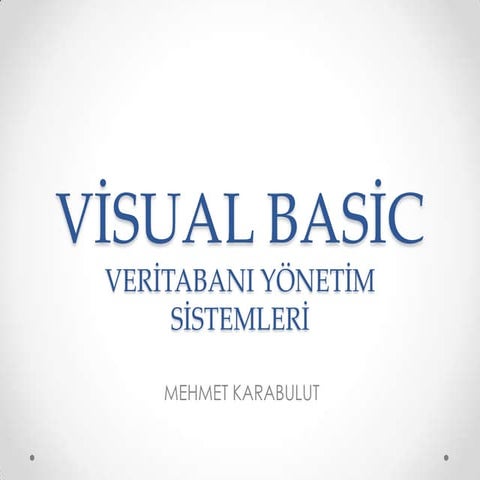 Vi̇sual basi̇c