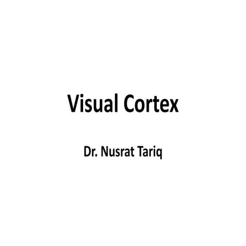Visual cortex