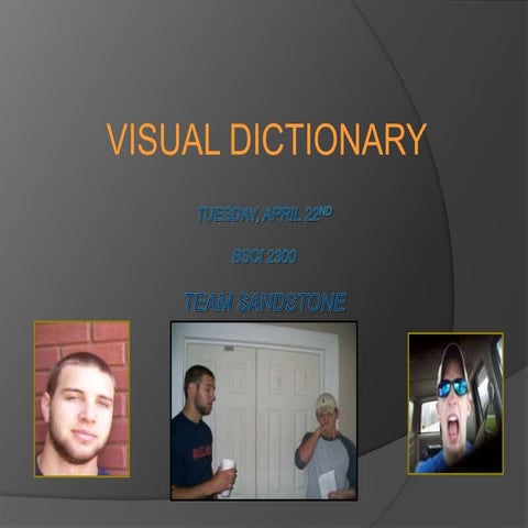 Visual Dictionary-Sandstone