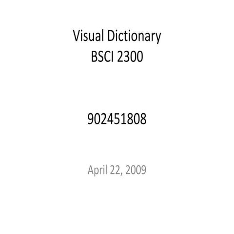 Visual Dictionary-curing