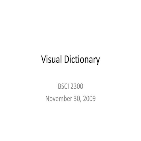 Visual Dictionary - LVL | PPT