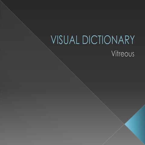 Visual Dictionary
