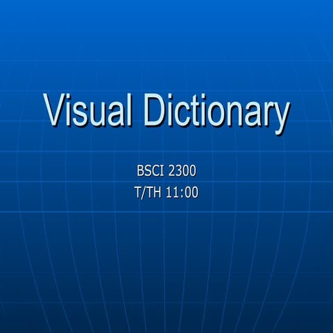 Visual Dictionary | PPT