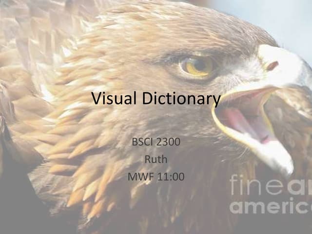 Visual dictionary