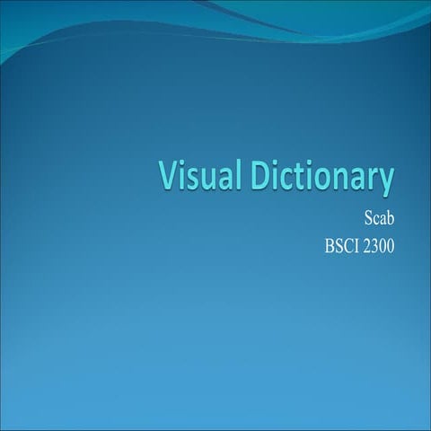 Visual Dictionary - Scab