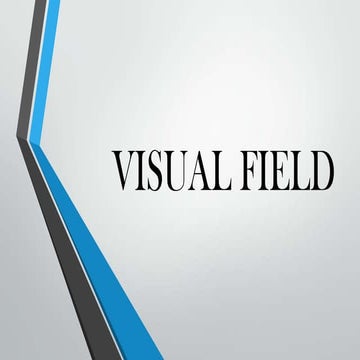 V isual field