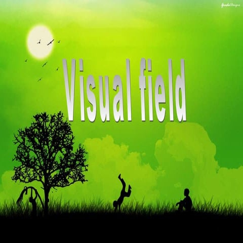 visualfield-140206115003-phpapp02.pdf