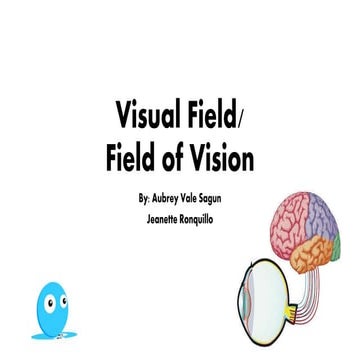 Visual field report 