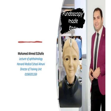 mastering visualization of posterior segment