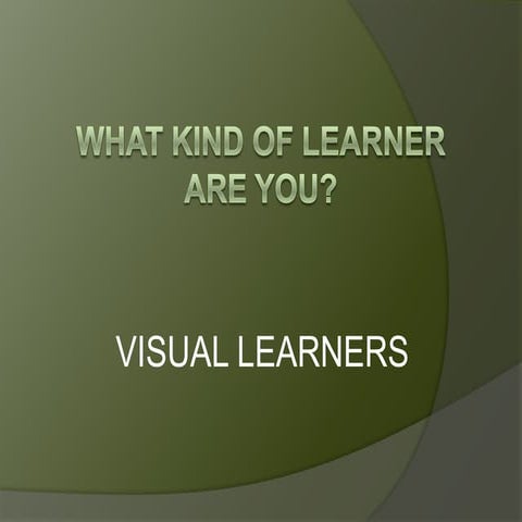 Learning Styles: Visual Learner
