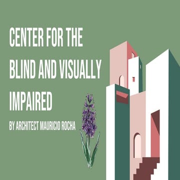 visually impaired caes study final for learning center .pdf