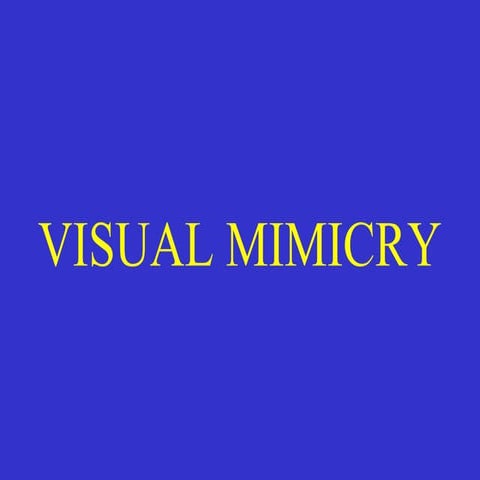 Visual mimicry
