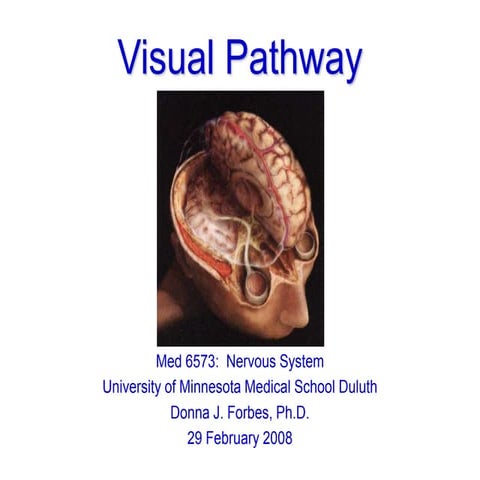VisualPath.ppt
