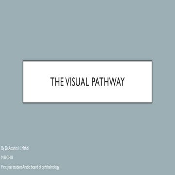 The Anatomy and the clinical side of the visual pathway