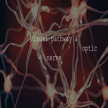 Visual pathway of eye with necessary lessions
