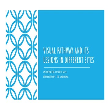 visual pathway and lesions in different sites of visual pathway