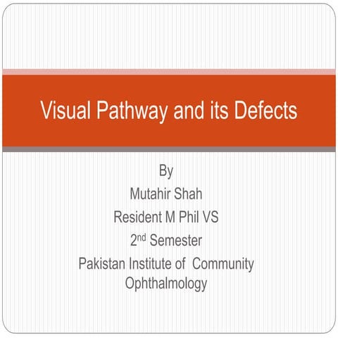 Visual pathway and its defects