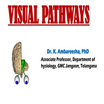 VISUAL PATH WAYS BY DR K AMBAREESHA GOUD | PPT