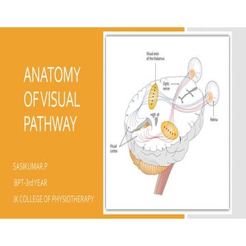 ANATOMY AND PHYSIOLOGY OF VISUAL  PATHWAY