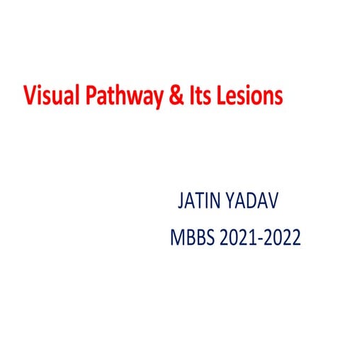 visual pathway & its lesions.pptx