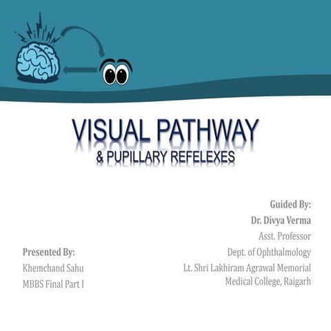 Visual pathway kHem