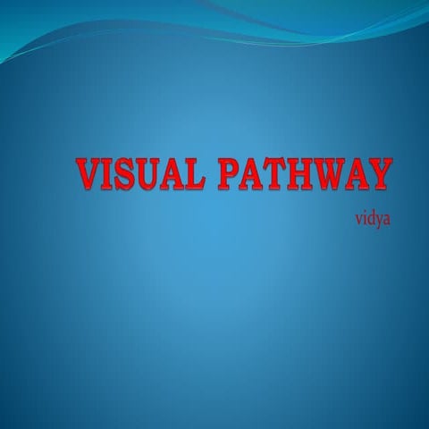 Visual pathways