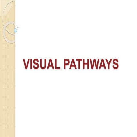 Visual pathways