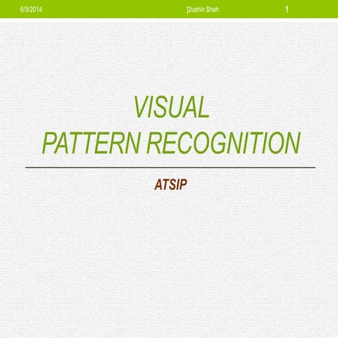 Visual pattern recognition | PPT
