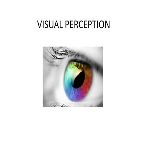Visual perception