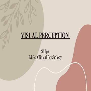 Understanding the Visual Perception : Human Eye