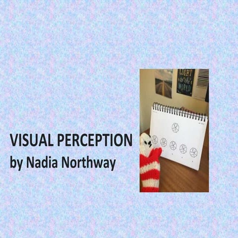 visual perception basic intro (2).pptx