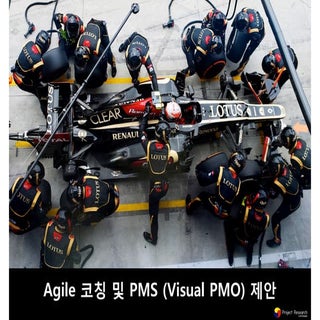 Visual pmo (hybrid agile) proposal ...