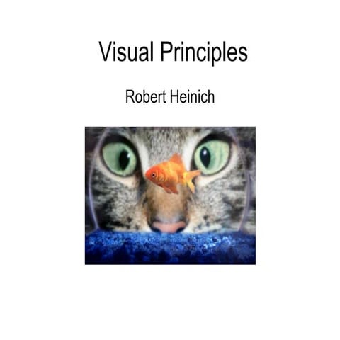 Visual Principles