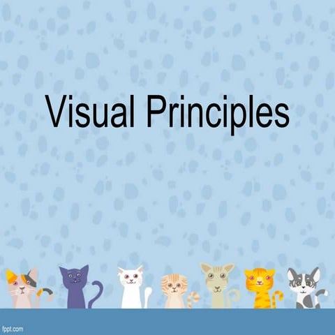 Visual principles2