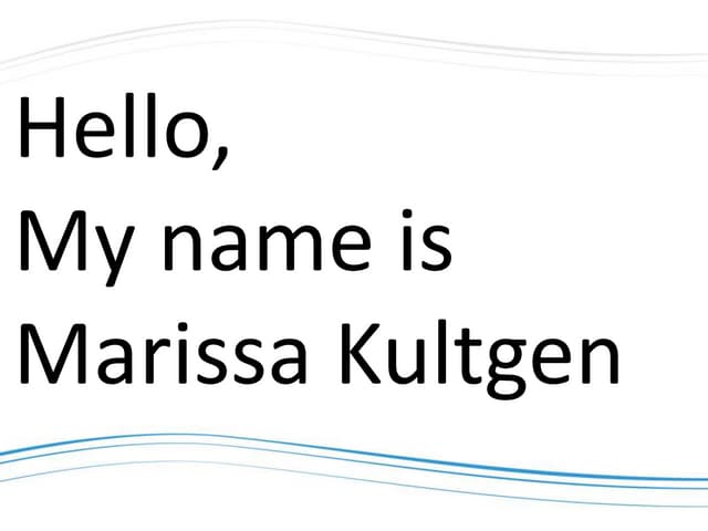 Visual Resume