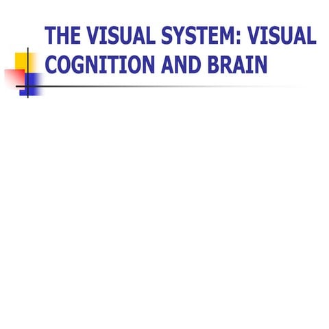 4. Visual Processing in the Extrastriate Cortex.pptx