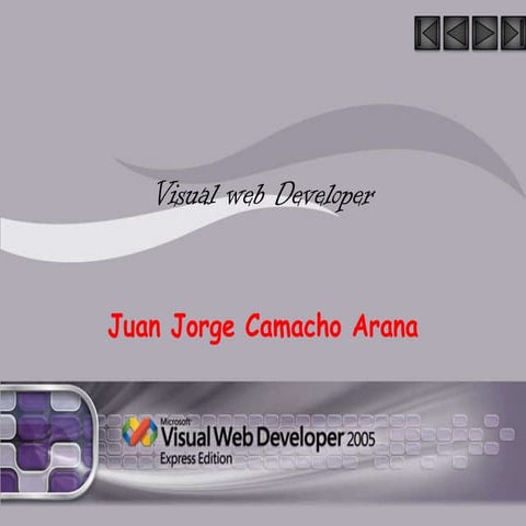 Visual Web Developer