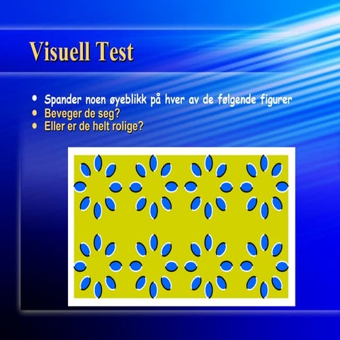 Visuell Test | PPS